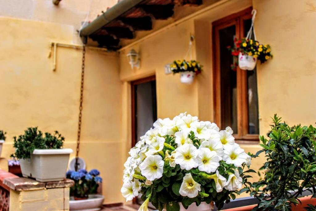 Panoramic And Beautiful House 4Km From The Sea. Rosignano Marittimo Exterior foto
